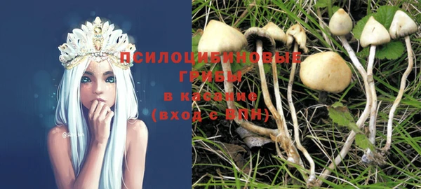 стаф Белокуриха