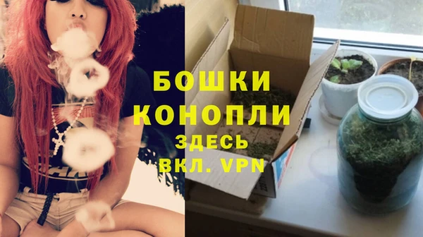 стаф Белокуриха