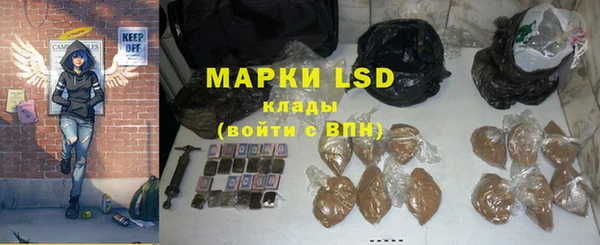 стаф Белокуриха