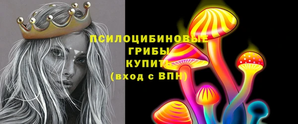 стаф Белокуриха